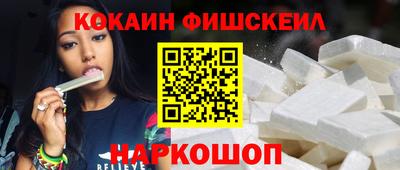 крисы Можга