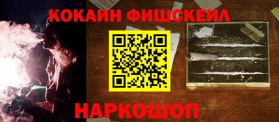 крисы Можга