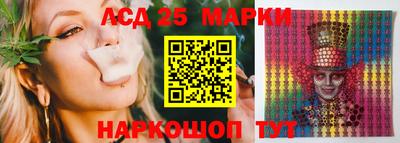 гашик Можайск