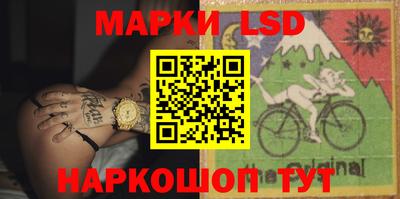 крисы Можга