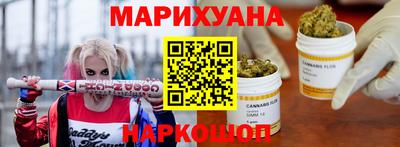 крисы Можга