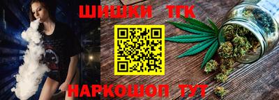 крисы Можга
