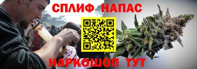 крисы Можга