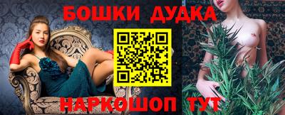 крисы Можга
