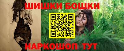 крисы Можга