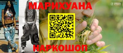 крисы Можга