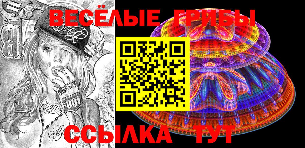 Галлюциногенные грибы Psilocybe  Вход с VPN  Фурманов  Галлюциногенные грибы Psilocybe 