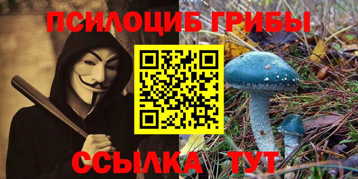 Галлюциногенные грибы мицелий Фурманов